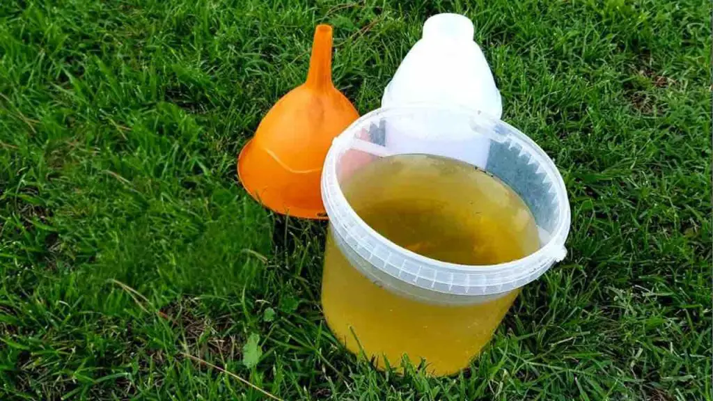 Este potentísimo fertilizante hará crecer todas las plantas de tu jardín