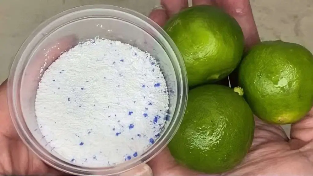El baño nunca se ensucia y huele constantemente con este método natural