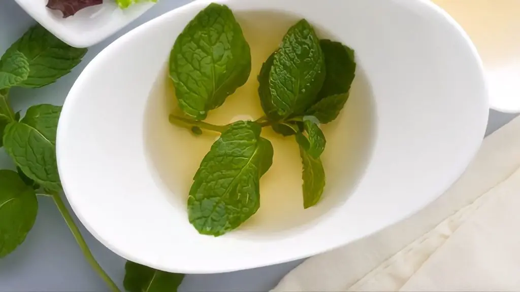 Por eso las amas de casa empezaron a mezclar 3 hojas de menta con vinagre