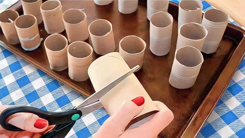 Rollos de papel higiénico, tirarlos es un gran error: reutilizarlos así | valen oro