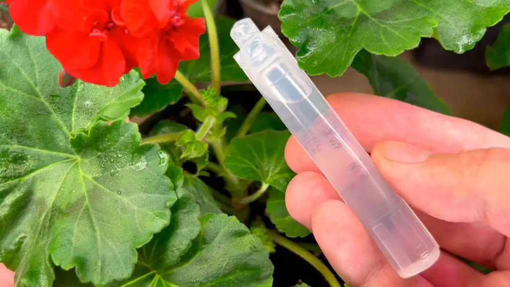 April’s Garden Miracle: Drip Feeding Breathes Life into Every Flower