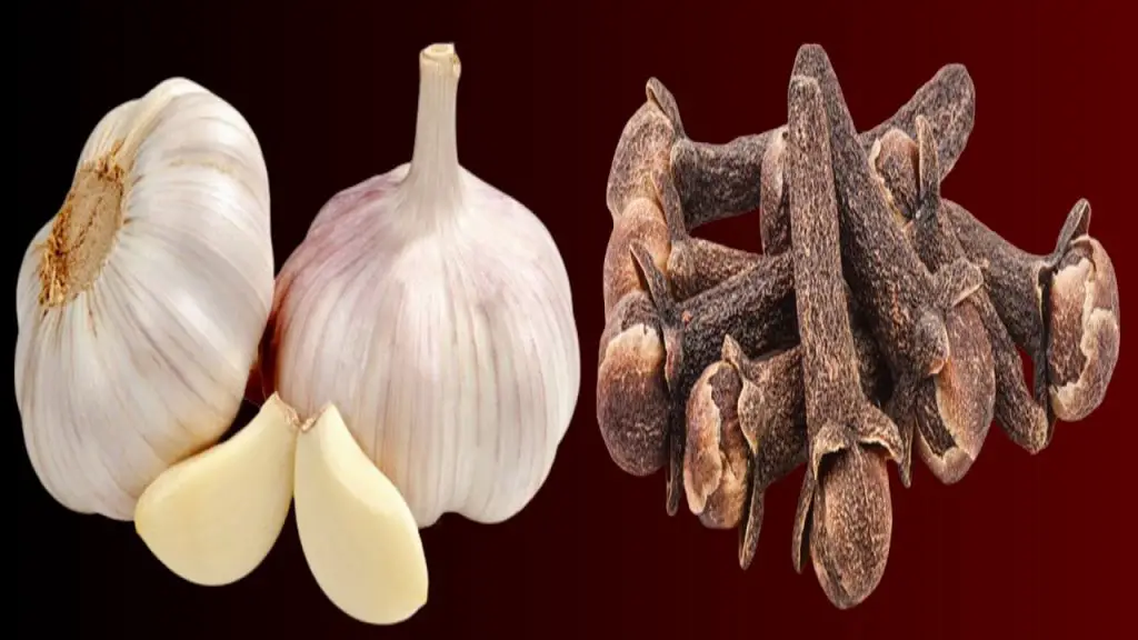 Cloves mix Garlic, Honey and you will thank me