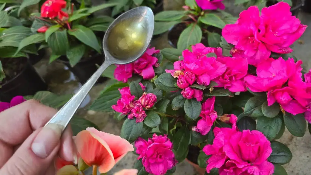 Instant Greenery Transform Any Home Flower or Plant with Just One Drop!