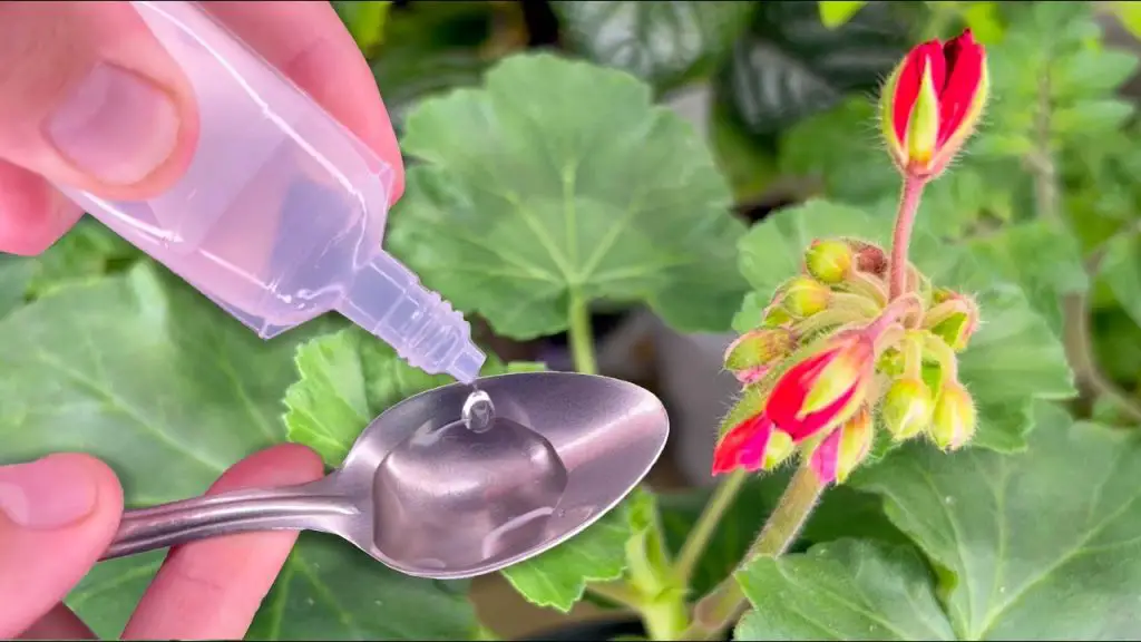 March Flower Power: Recharge Your Garden with Just 1 Spoon!