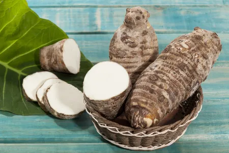 Taro (Colocasia esculenta): Unlocking the Power of Its Root and Beyond