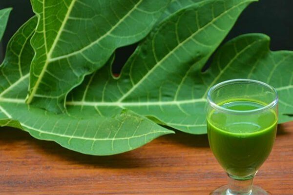 The Remarkable Health Benefits of Papaya Leaf Juice