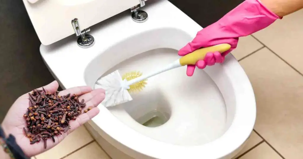 The natural trick to neutralize bad odors in the bathroom and perfume it for days