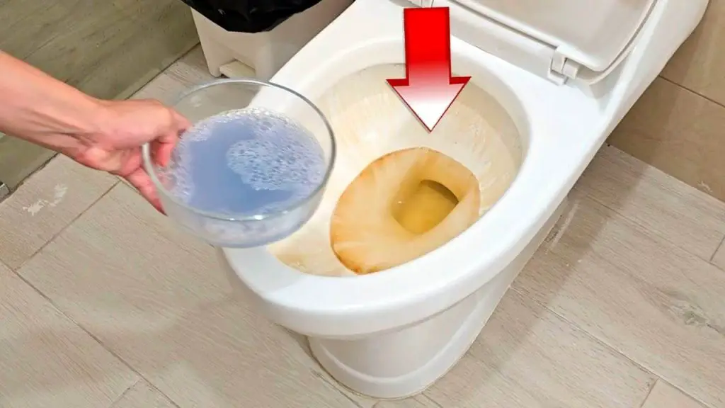 This powerful and natural blend eliminates all urine stains and odors