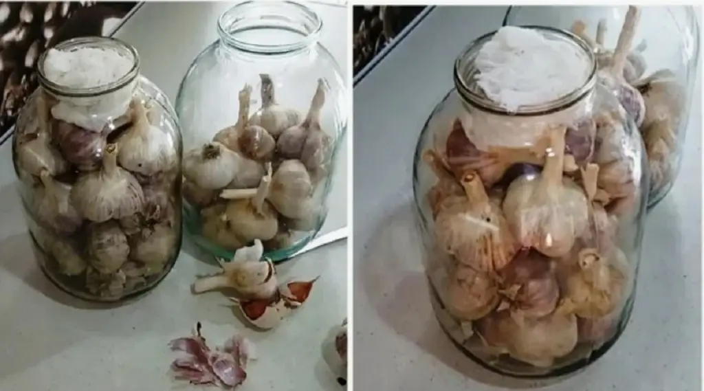 Tired of throwing away a mountain of spoiled garlic every year! But this time I learned how to store it until spring