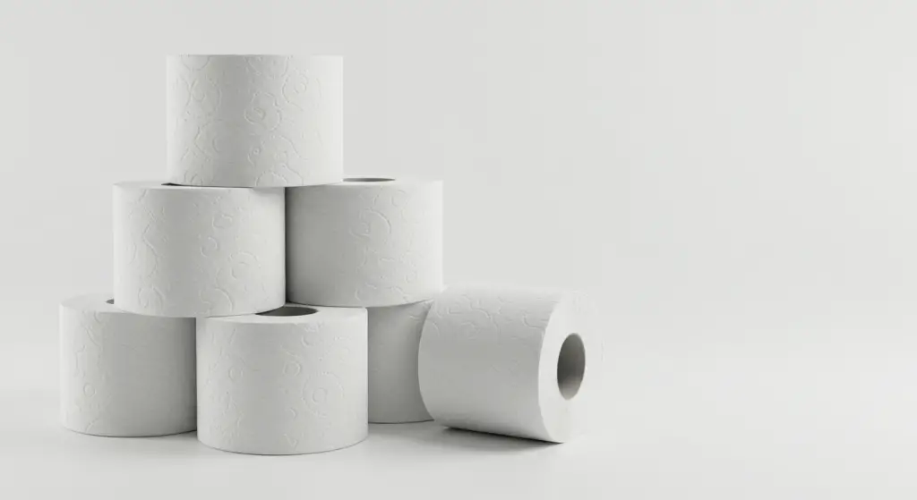 Toilet paper, be careful of this detail: you risk clogging the pipes