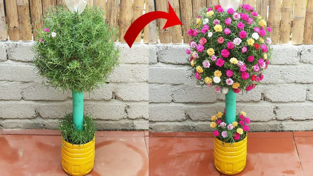 Transform Your Plastic Bottles into Stunning Portulaca Mossrose Gardens