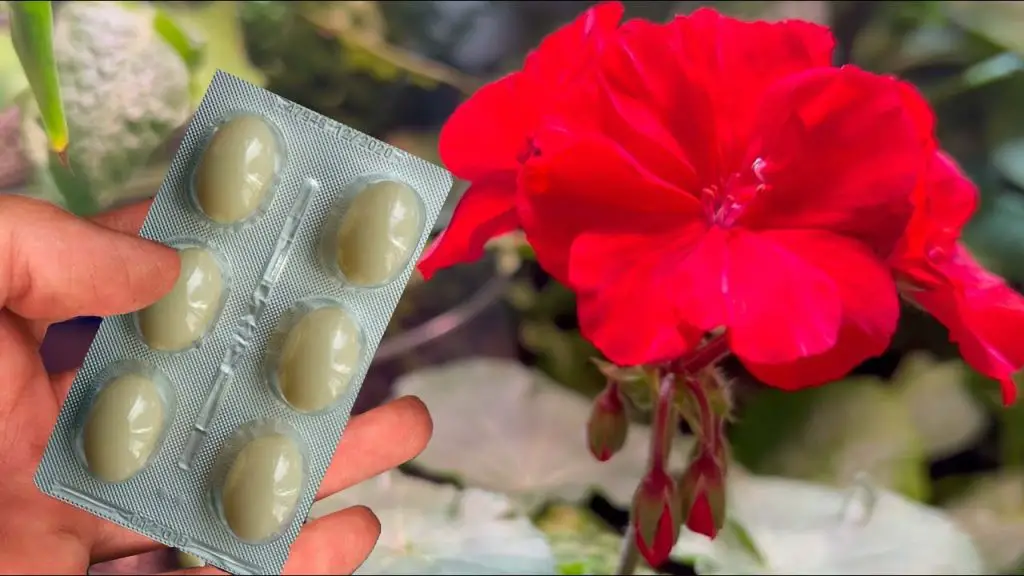 Unlock Instant Bloom: Even the Most Sluggish Flowers Spring to Life!