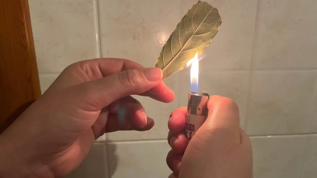 Burn 1 sage leaf at home, 5 minutes later you will notice the effects: what happens