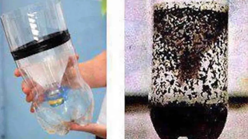 Homemade mosquito trap, the only natural remedy that eliminates them all