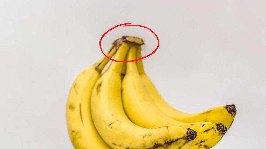 Never throw away this part of the bananas: that’s why it’s worth its weight in gold at home