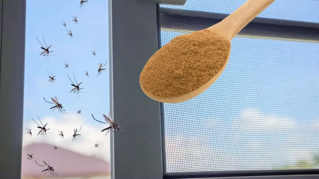 The most powerful insecticide against mosquitoes is in the kitchen: you make them disappear at no cost